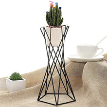 SIDUFHAOPKLL Flower Racks Rustic Tabletop Mount Hanging Irregular Geometric Iron Tillandsia Art Plants Holder Rack Black Containers Home Tool