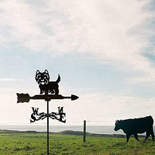 Weather Vane Stainless Steel Anti-Rust Weathervane Spray Paint Wind Vane Outdoor Sheds Yard Roof Barns Decoration Yard Indicating Wind Direction Measuring Tool B 35X50CM (E 35X50CM) (A 35X50CM)