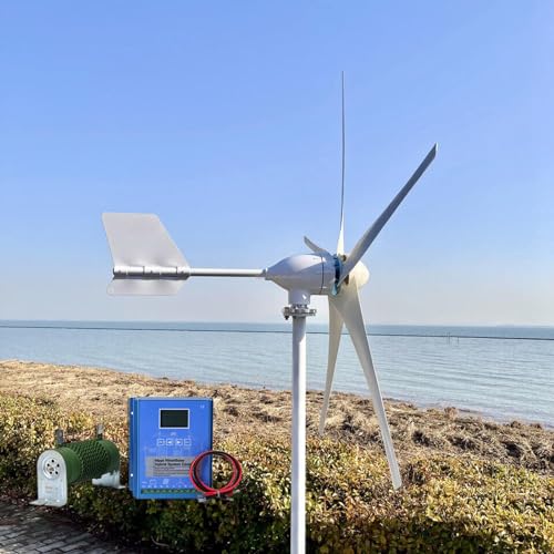OLONETO 2000W Wind Turbine Kit 12V 24V 48V 5 Blade Wind Turbine Generator and Hybrid MPPT Controller Home Wind and Solar Hybrid Power Generation System (Color : 12V)