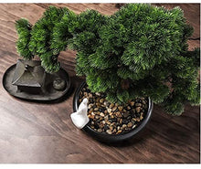 LSHAOBO Artificial Bonsai Tree Fake Plant Decoration Potted Houseplant Japanese Pine Bonsai Plant Decoration Desktop Display
