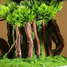 YXIANG56Q Fake Plants Simulation Fortune Tree Bonsai Welcome Pine Tree Ornaments Entrance Table Living Room Office Hotel Soft Decorations Bonsai Tree