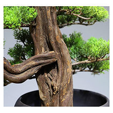 Fake Plants Artificial Welcome Pine Bonsai,13 Inch Zen Micro Landscape Ornament，Fake Trees for Conference Room Exhibition Hall Rack（with Cleaning Brush） Bonsai Tree