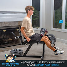 ANYTHING SPORTS Heavy Duty Adjustable Leg Extension and Curl Machine 2.0 Black