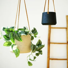 SDREYKUF Wall Hanging Cement Pot Plant Basket Balcony Orchid
