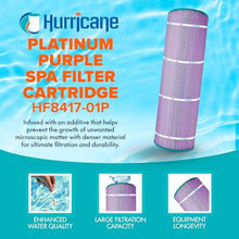 Hurricane Filters 4 Pack HF8417-01P Platinum Purple Pool Filter Cartridge - Replacement for PA175, Unicel C-8417, Filbur FC-1294, Hayward Star-Clear Plus C1750, C1900, Sta-RIte PXC-175
