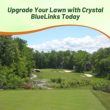 Outsidepride Crystal Bluelinks Creeping Bent Grass Seed - 25 lbs. Dense Turf Grass for Golf Greens & Putting Surfaces, Fine-Textured, Tolerant to Close Mowing for Smooth, Consistent Lawn Coverage