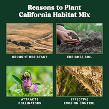 Nature's Seed California Habitat Mix, Native Grass Seeds Blend for Lawn, Garden, Yard, Low Water, Wildlife Habitat, Restoration, 5 Lbs