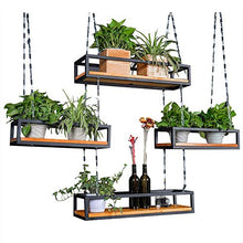TMMLIJIPL Plant Stands Three-Dimensional Modeling Plant Shelf Iron Flower Pot Display Shelf Modern Simple Decorative Flower Shelf Horticultural Shelf Flower Holder Y (Size :S) (Medium)