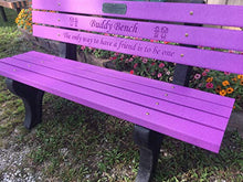 The Roudebush Company Buddy Bench with Recycled Plastic Frames Purple