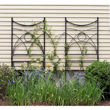 Aurora Trellis