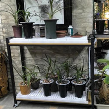 WXPWAMZ Potted Plant Stands with Automatic Drainage Tray - Prevents Root Rot, Perfect for Orchids and Succulents for Indoor and Outdoor Gardening