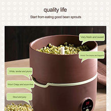 Bean Sprouts Machine, LED Display Time Control, 2 Layers Function Large Capacity Seed Grow Cereal Tool, Seed Sprouting Kit With Double Germination Tray