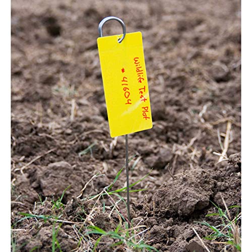 Forestry Suppliers 18 in Tag Stake, Box of 500, 0.115 Brite Wire with Top Loop, Tags Not Included
