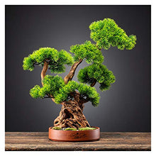 Welcome Pine Cliff Cypress Simulation Bonsai Living Room Hotel Entrance Decoration Ornaments Purple Sand Flower Pot Potted Plants House Plant (Color : C)