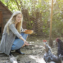 WORKPOINT 44LBS Dried Mealworms for Chickens, 100% Natural Premium Quality Non-GMO, Treats for Poultry, Chickens, Ducks and Geese