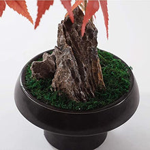 Bonsai Tree Chinese Zen Potted Model House Soft Decoration Porch Red Maple Stone Bonsai Ornaments for Garden Decoration and Desktop Display