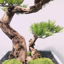 YXIANG56Q Fake Plants Modern Simulation Pine Tree Bonsai Creative Entryway Corner Decoration Fake Tree Greenery Ornaments Living Room Ornaments Bonsai Tree
