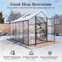 8x10 FT Greenhouse, Heavy Duty Polycarbonate Greenhouses for Outdoors with Thicken Sturdy Aluminum Frame, Large Walk-in Green House with Stakes, Ropes, Roof Vent, for Outside Garden Backyard, Black