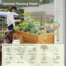 VegTrug Classic Raised Bed, Natural, Medium 1.8m - Cedar Wood V-Shaped Raised Garden Bed for Outdoor Gardening - Ergonomic Design for Balcony, Patio & Small Spaces