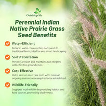 Outsidepride Indian Native Grass Seed - 25 lbs. Perennial, Low Maintenance, Drought-Tolerant Prairie Grass Seed for Wildlife Habitat, Livestock Forage, Ornamental Landscaping & Erosion Control