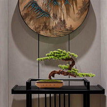 CLoxks Artificial Bonsai Artificial Plants Bonsai Tree Indoor Wood Welcoming Pine Bonsai Zen Decorative Bonsai with Ceramic Pots Living Room Corridor Decor for Home Office