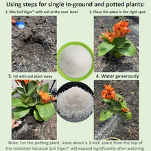 Potassium Super Absorbent Polymers: Moisture & Fertilizer Retention for Plants - Soil Vigor® SAP Water Storing Crystals | Reduce Watering & Fertilizer by 50% | For Gardens, Lawns & Indoor Plants 20 Lb