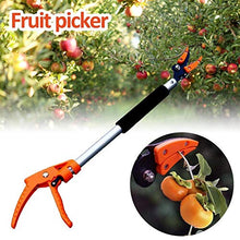 WANGKENSU Handheld Extendable Garden Shears 0.6-1M Extra Long Telescopic Pruning and Hold Bypass Pruner Max Cutting 1/2 inch Fruit Picker Tree Cutter Garden Supplies (0.6 M) (1 M)