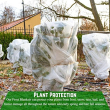 Farm Plastic Supply - Frost/Winter Protection Blanket - Plant Covers Freeze Protection, Frost Protection, Thick Frost Cloth, Plant Protector, Plant Cover Freeze Protection Winter (7.5' x 300')