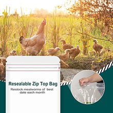 WORKPOINT 44LBS Dried Mealworms for Chickens, 100% Natural Premium Quality Non-GMO, Treats for Poultry, Chickens, Ducks and Geese