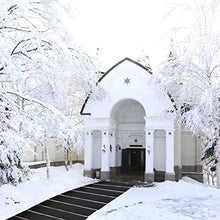 LGYYGL Snow Melting Mats Heated Snow Melting Mats for Stairs, Heated Outdoor Walkway, PVC No-Slip Snow Melting Mats Heated Mat W/6ft Power Cord, for Winter Snow Removal (Size : 60.96 cm*152.4cm)
