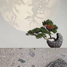 Fake Plants Simulation Bonsai Cliff Cypress Welcoming Pine Green Plant Bonsai Home Living Room Office Desktop Porch Decoration Simulation Bonsai Tree