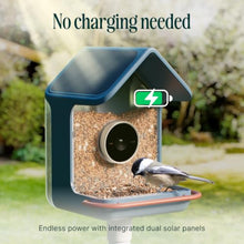 Birdbuddy Home Smart Bird Feeder with Camera, AI Bird ID Dual Solar Panel