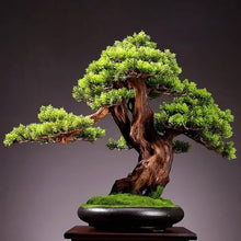 YXIANG56Q Fake Plants Living Room Simulation Plant Bonsai Indoor Greenery Potted Plants Large Fake Tree Desktop Landscape Decoration Ornaments Bonsai Tree