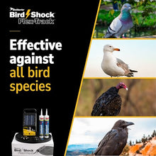 Bird Shock Flex-Track Complete Starter Kit | Low-Profile Bird Deterrent System | Humane Avian Control Track | Pigeon Spike Alternative | Long-Term Exclusion | Plug-in Black