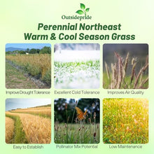 Outsidepride Perennial Northeast Native Grass Seed Mix - 25 lbs. Cold & Drought-Tolerant Warm & Cool Season Prairie Grass Seeds for Xeriscaping, Erosion Control, Wildlife Support, & Pollinator Habitat