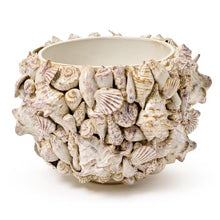Two's Company Shell Hand Crafted Planter, 8.75-Inch, Ceramic, Natural