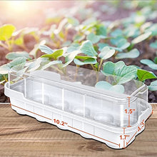 1pcs Gardening Home Decoration Fleshy Nursery Tray Three-Color 10-Hole Can Be Placed Nursery Block Flip Nursery Box (Color : Black) (White)