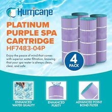 Hurricane Filter 12 Pack HF7483-04P Platinum Purple Pool Filter Cartridge - Replacement for PA81-4-M, Unicel C-7483, Filbur FC-1225, Hayward SwimClear C3030, 3025, 3020