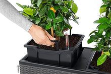 Lechuza Trio Cottage 30 Graphite Black, Trough Self-Watering Large Planter, H13.4 L39.4 W12.6 in, 3 Liners