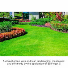 Crystal Water Retention for Supplying Water to Plants (40 pounds)