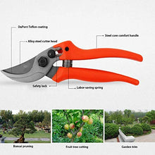 EliteBloom Bypass Pruning Shears,Allround Comfort Gardening Shears,Safety Lock,Scissors Perfect for Trees,Shrubs,Roses,Fruit and Vegetables,