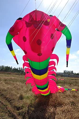 TiffyDance 40 Ft 3D Soft Inflatable Caterpillar Kite XX-Large