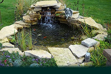 Custom Pro 5x6 Foot DIY Pond Kit with 1,500 GPH Pump, Filter, Liner, Instructions and More - Create a Pond with a Waterfall