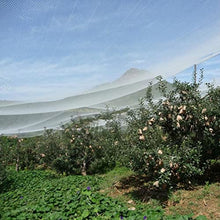 ERRULAN Hail Netting for Garden Plants, White Anti Bird Netting for Fruit & Vegetable Protection, Reusable Pond Breeding Net for Above Ground Pool (Color : Wxh, Size : 8x20m/26x66ft)