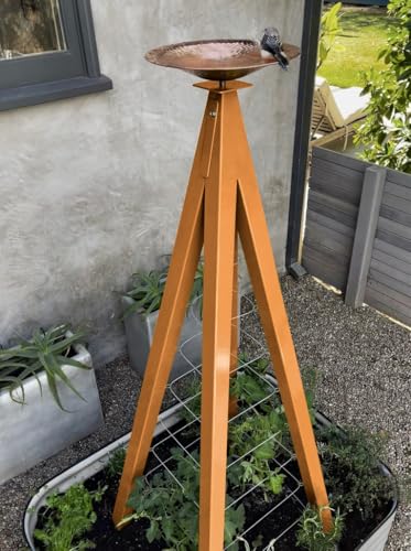 Modern Birdbath with Obelisk Trellis (Kumquat, Large)