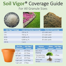 Soil Vigor® Vacation Plant Watering Crystals – Super Absorbent Potassium Polyacrylate for Sustained Hydration Up to 3 Weeks – Large Crystal Gel Soil Amendment for Travel & Busy Schedules (40 pounds)