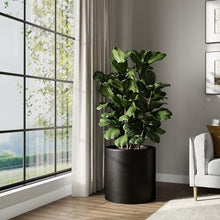 DTY Mount Powell 19.7" D x 19.7" H (Pot Opening 15.7") Fiberstone Cylindrical Planter with Drainage Hole, Weather Resistant for Indoor & Outdoor Use, Includes 2 Extra Coco Mats - Black, Jumbo