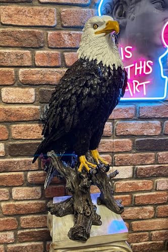 SODEF Standing Large Eagle Sculpture Statue for Garden Decor Black and White Polyester 65 x 40 cm - Black and White