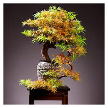 Large Living Room Simulation Welcoming Pine Bonsai Porch Plant Potted Indoor Desktop Green Plants Flower Ornaments Decoration Gifts House Plant (Color : O)