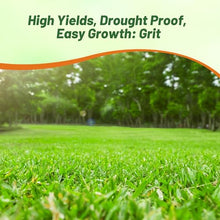 Outsidepride Forage Bermuda Seeds - 40 lb. Perennial, Drought Tolerant & Fast-Growing, Pasture Seeds for Planting Large Grass Leaves, Ideal for Hay Foraging & Rotational Grazing